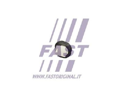 Original FAST Clip Zier-/Schutzleiste FT96300 für Fiat