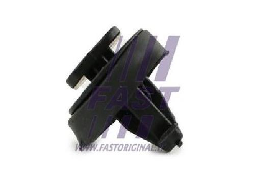 Original FAST Clip Zier-/Schutzleiste FT96310 für Iveco