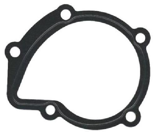 Original ELRING Dichtung Wasserpumpe 754.044 für Citroën Fiat Hyundai Lada